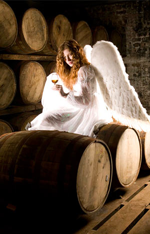 "The angels share" whiskyclub Izegem